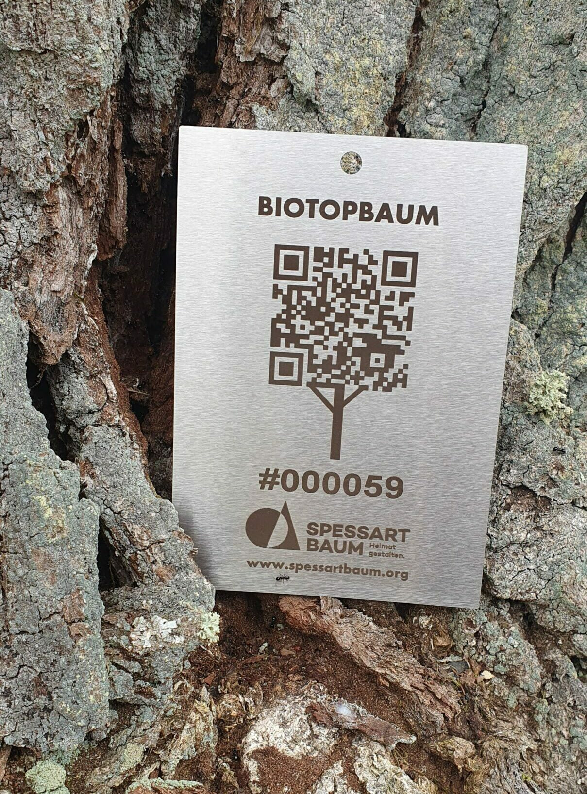 Biotopbaum Patenschaft